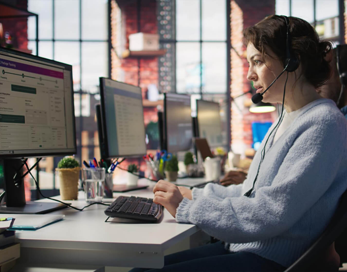 Professional Customer Service Solutions